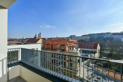 Nemovitost 11