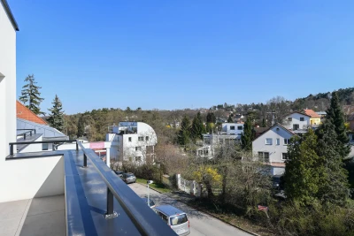 Nemovitost 12